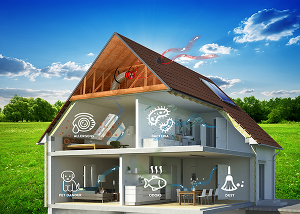 When your QuietCool Whole House Fan is turned on, the fan will pull the cooler outdoor air into your home, through your windows, across your living space, into the attic, and out the attic vents, replacing the hot, stale air. This helps cool the home and attic by up to 30 ºF or more.